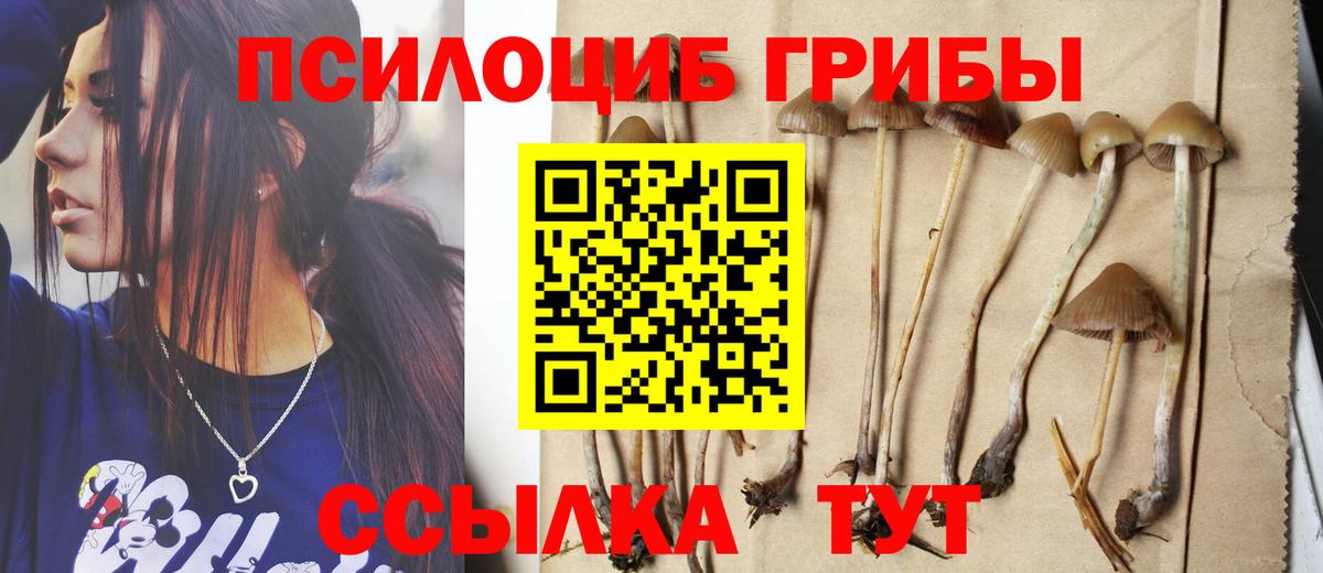 Краснотурьинск  Псилоцибиновые грибы мухоморы  Вход с VPN 