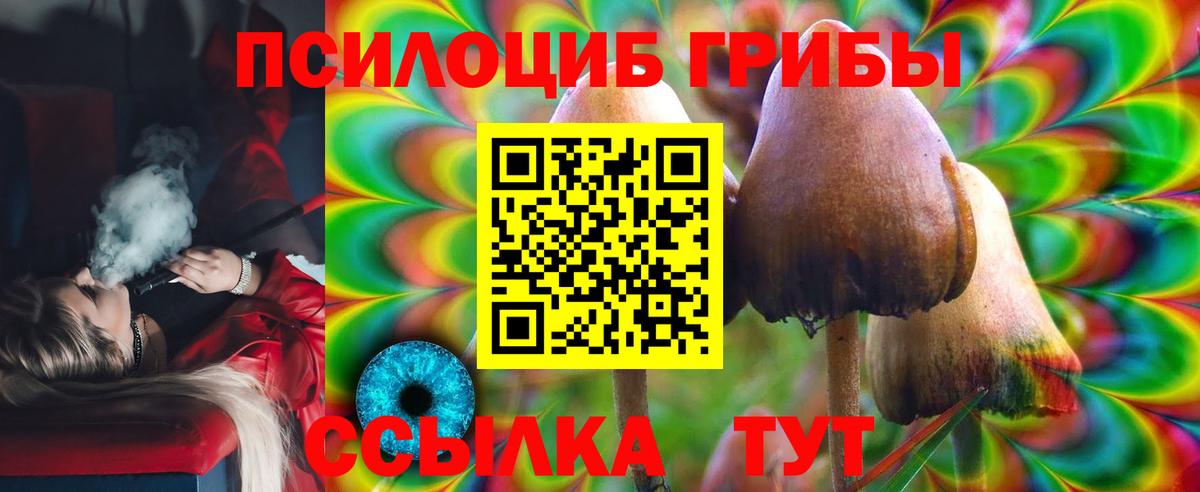 Галлюциногенные грибы Cubensis Краснотурьинск